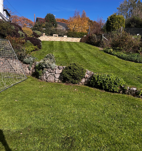 Ollies Grounds Maintenance Services Exeter Grass and Lawn Mowing and Care.png