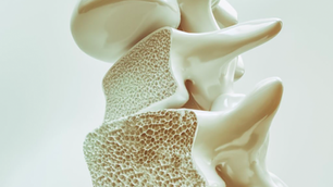 Effects of Puberty Blockers and Cross-Sex Hormones on Bone Health