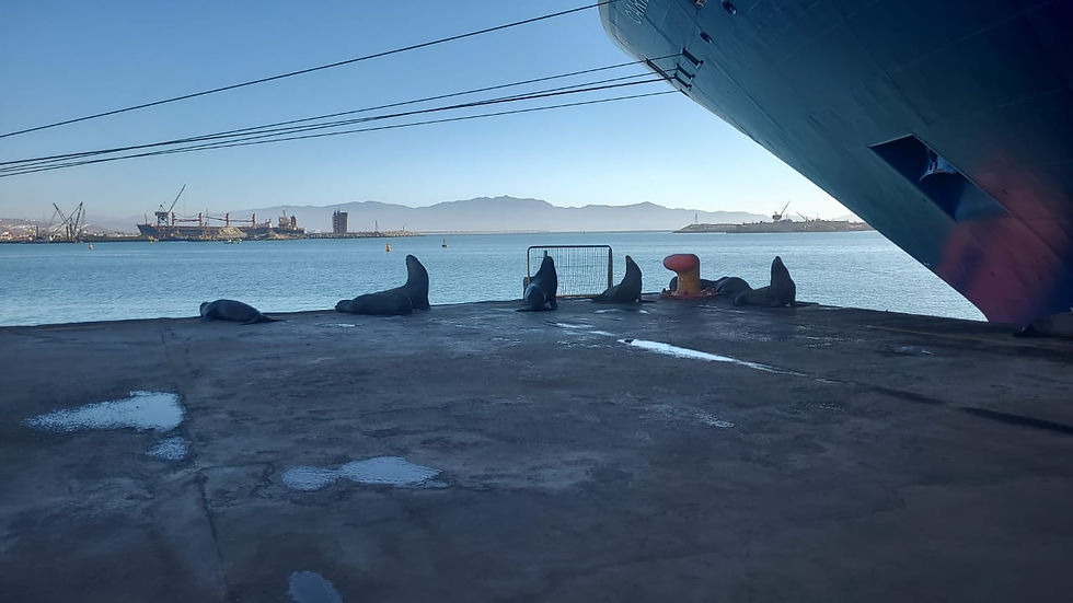 Os INCOTERMS na atualidade