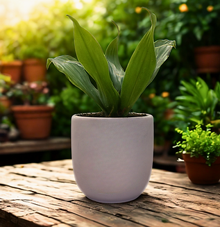 flower pot out of candle jar
