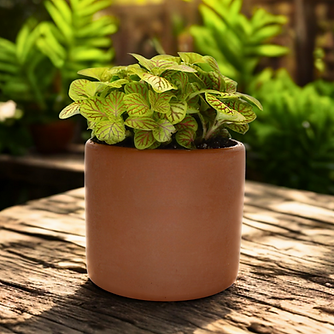 flower pot out of candle jar
