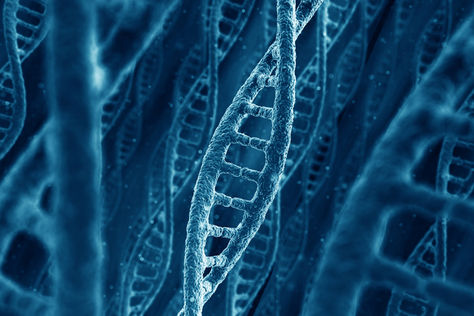 Your Immune System, A Letter From The CEO of Double Helix Water