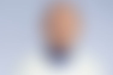 In Tribute to a Life of Excellence: Remembering Dr. C. Norman Shealy, M.D., Ph.D., Neurosurgeon