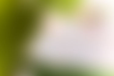 Testimonial Regarding Glowing, Radiant Skin at 48