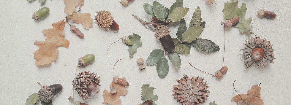 November Sale Backdrop.jpg