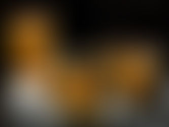 Edmonton Whiskey Festival stumbles in to downtown and wants you to shut up about its wife.