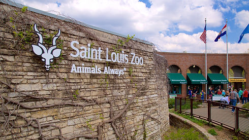 St Louis Zoo