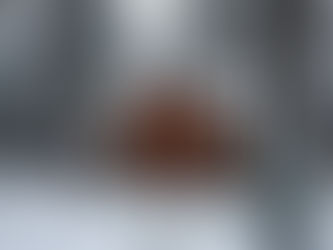 Ideas and Inspiration for an Intimate Christmas Wedding