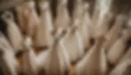 -post-ai-image-1417.png.webp