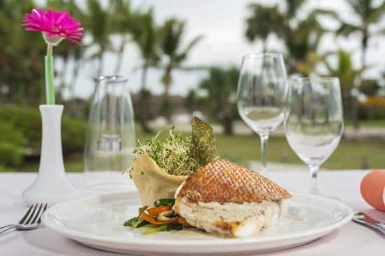 Elegant seaside restaurant La Palapa serving fresh seafood and Dominican specialties with panoramic beach views.