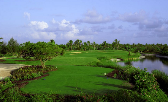 Gently rolling fairways and palm trees at Cocotal Golf Course in Punta Cana