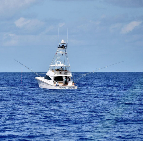 Luxury yacht preparing for a fishing charter at Cap Cana Marina, surrounded by calm turquoise seas.”