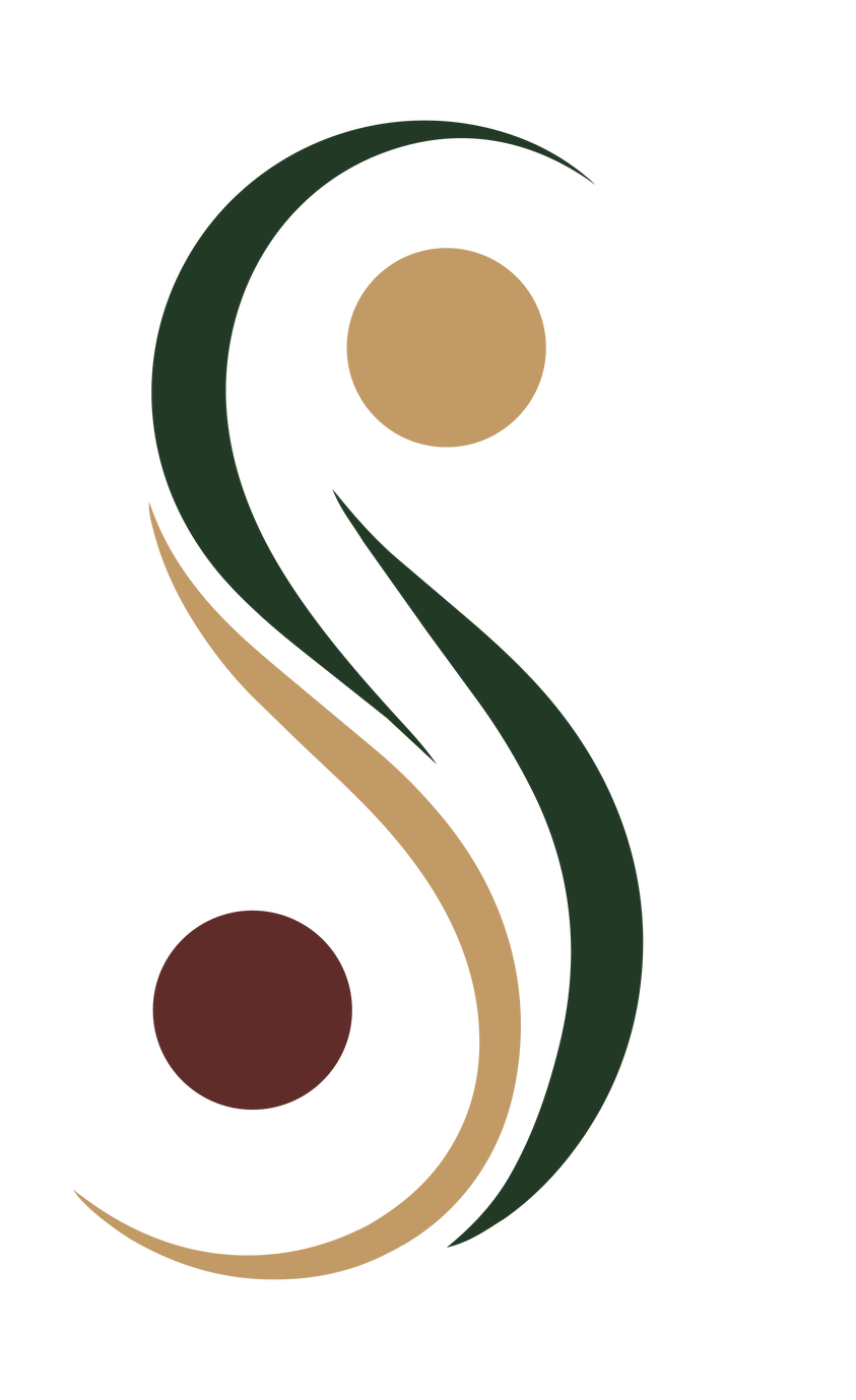 Salerno&Beyond-icon-02.png