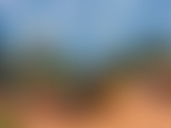 Operação Entulho Zero reforça compromisso com limpeza e cuidado urbano em Porto Walter