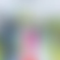 Assistência Social avança na decoração natalina e reforça ações de Natal ás famílias da zona urbana e rural