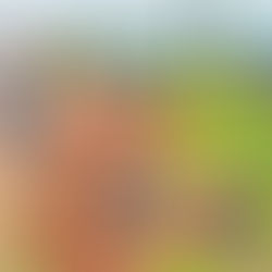 Prefeito César Andrade lidera equipe técnica para acompanhar desbarrancamento na Rua José Fernandes Dias