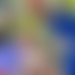 Saúde encerra ação e comemora resultado do itinerante com mais de 850 procedimentos no Rio Cruzeiro do Vale