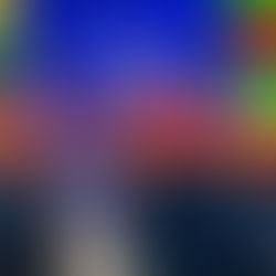 Defesa Civil de Porto Walter fortalece articulação e apoio federal durante encontro em Brasília