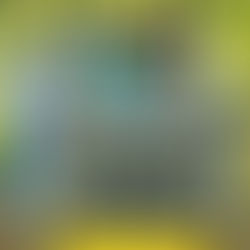 Prefeitura avança na Recuperação de Ramais e inicia serviços no Sebo e Macaíba