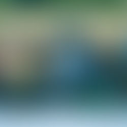 Prefeitura alinha ações do Minha Casa, Minha Vida com assentados da Gleba Minas e prevê construção de 30 casas 