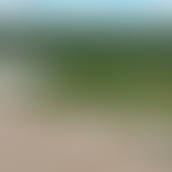 Defesa Civil monitora Rio Juruá que se aproxima da cota de transbordo e acende alerta em Porto Walter