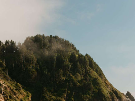 Beach Weddings vs. Mountain Weddings: Choosing Your Perfect Venue