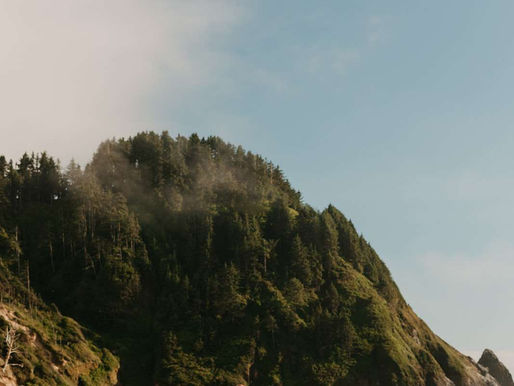 Beach Weddings vs. Mountain Weddings: Choosing Your Perfect Venue