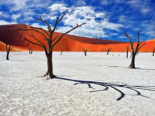 Exploring the Wonders of Namibia: A 10-Day Itinerary