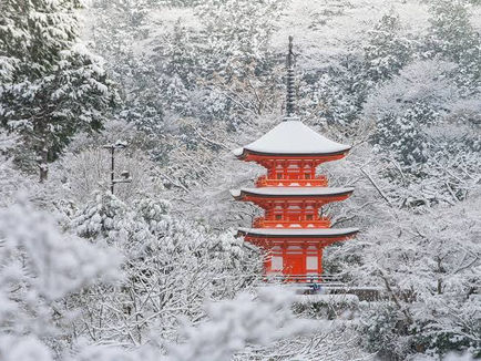 December Destinations: 20 Must-Visit Places to Celebrate the Season!”