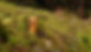 IMG-20190421-WA0015.jpg