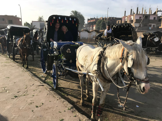 Tourists in a horse and cart