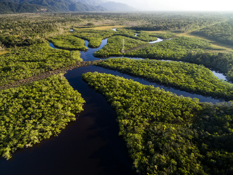 A evolução pessoal, flui como as águas de um rio.