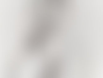 “Muitos mestres, um só caminho. O Yoga muda de forma, mas não de essência.”