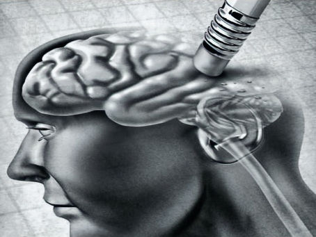 A mente Cognitiva, Manas