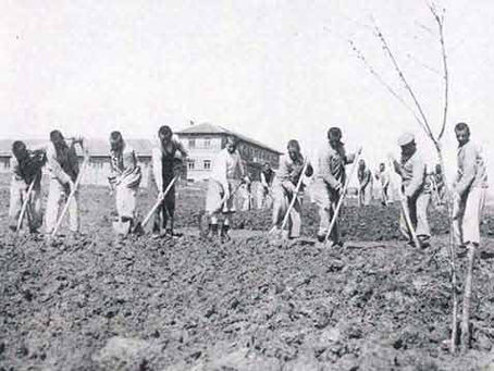 3238 Sayılı Kanun’un 75’inci Yıl Dönümü
