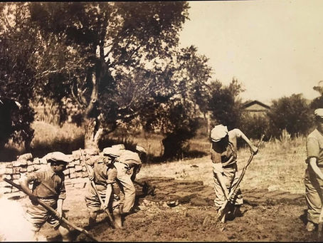 Tan yeri gibi ağarıyorduk!