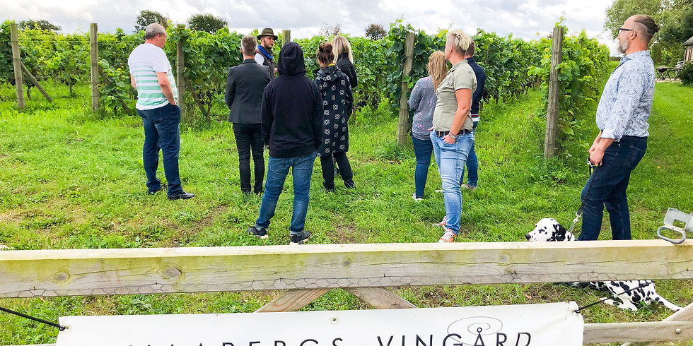 Winemakers dinner med Felix från Kullabergs Vingård