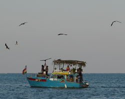 File_237