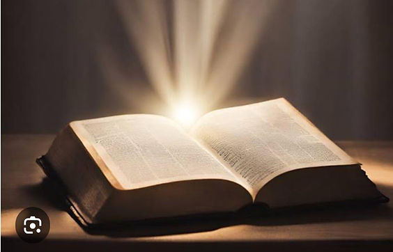 WhatsApp Image 2025-11-10 at 19.51.28.jpeg