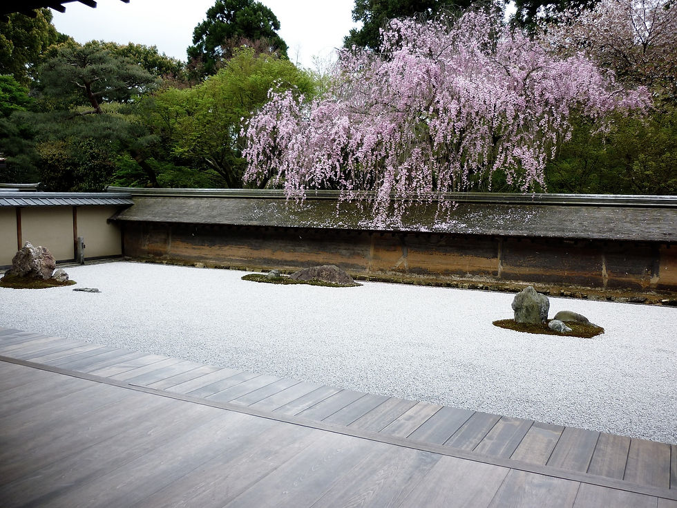 Japan Travel