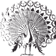 DEULHA website