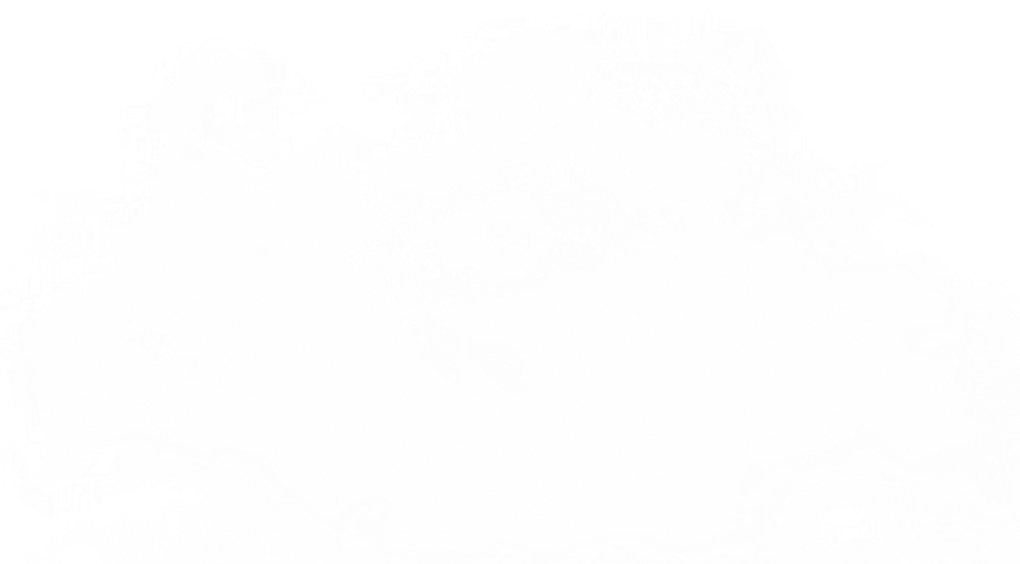 Layer 20 white-min.webp