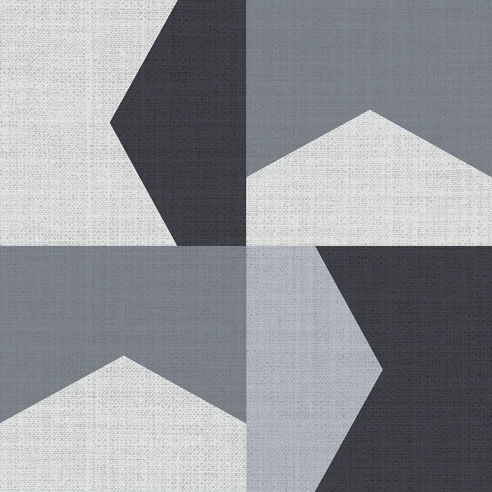 Miniatura: GALA GRIS