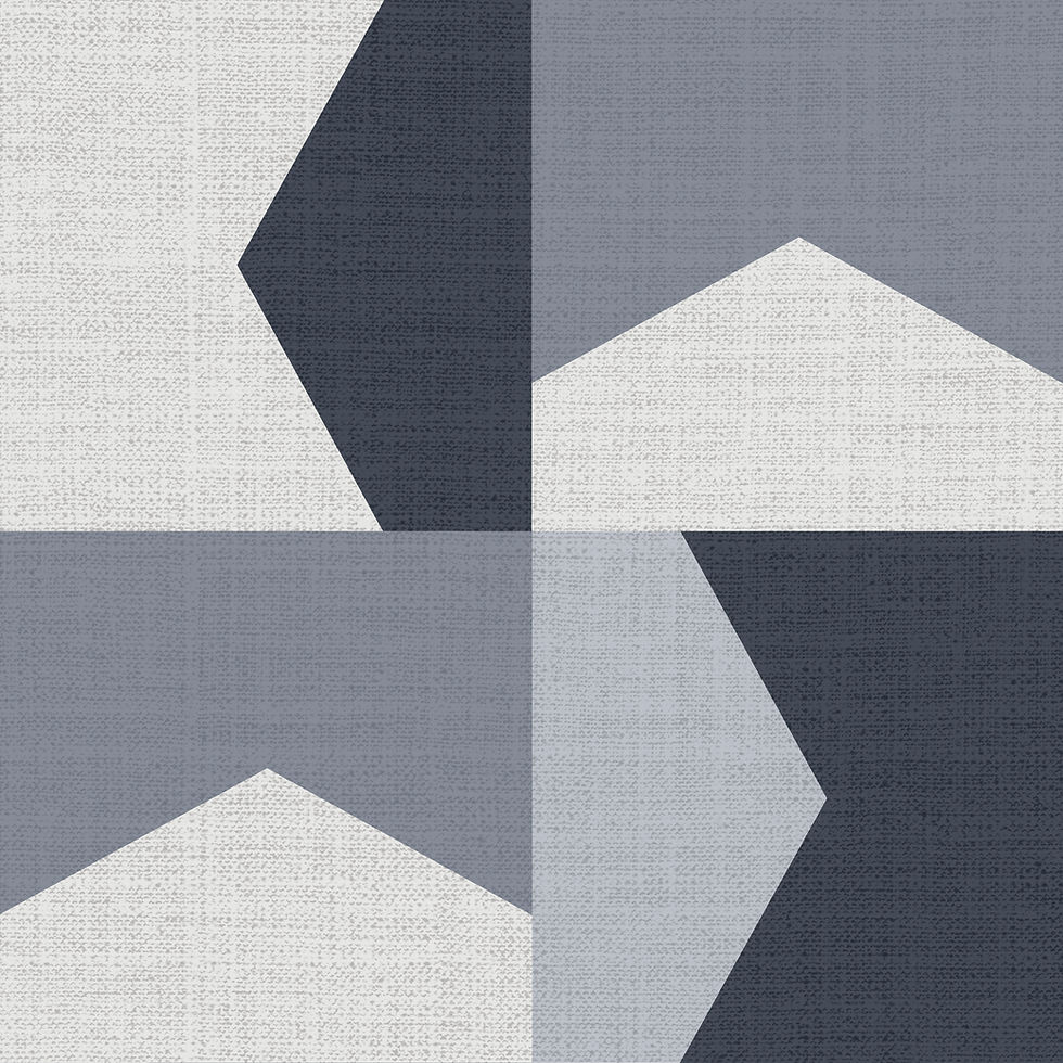 Miniatura: GALA GRIS