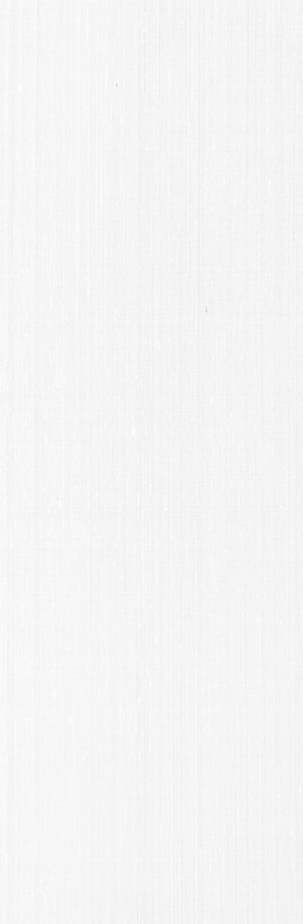 Miniatura: MADERA WHITE