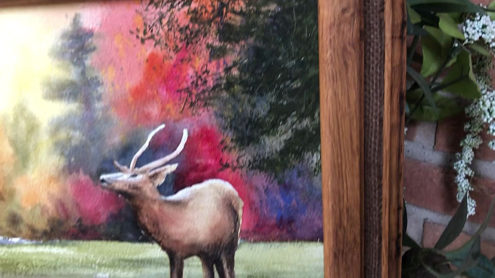 Thumbnail: 10x14 Watercolor Elk in the Morning Light with the Reds and golds of Autumn