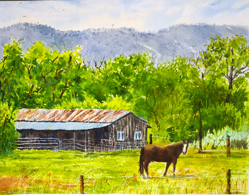 Durango, Colorado, Barn with horse