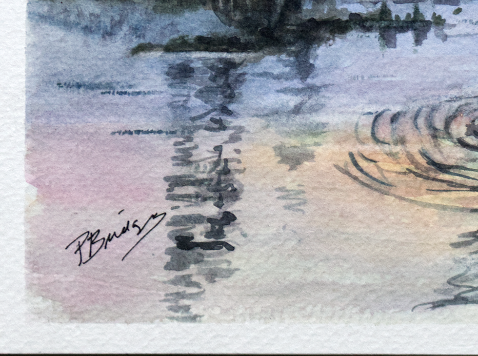 Thumbnail: Orange sky reflected in lake with black swans.