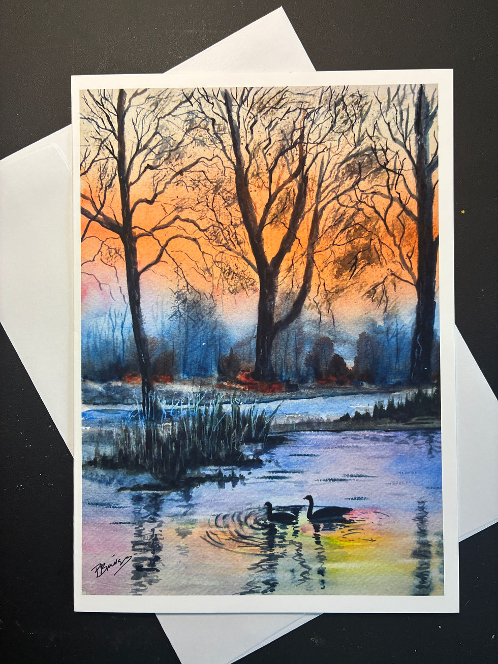 Thumbnail: Black Swan Lake in Watercolor