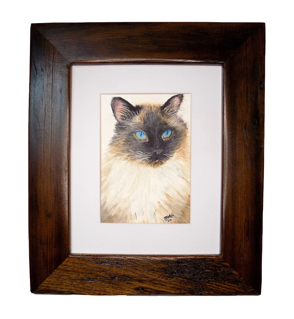 Thumbnail: 5x7 watercolor painting of a Siamese Cat